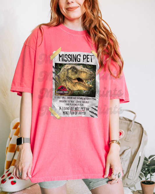 Missing Pet – T-Rex Graphic Shirt – Funny Dinosaur Lost Pet Tee – Unisex Dinosaur T-Shirt