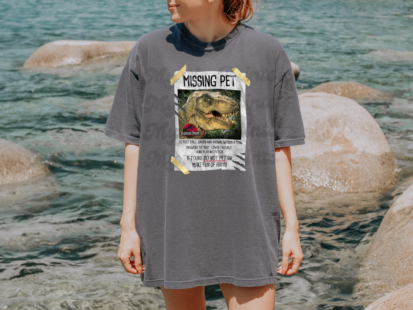 Missing Pet – T-Rex Graphic Shirt – Funny Dinosaur Lost Pet Tee – Unisex Dinosaur T-Shirt
